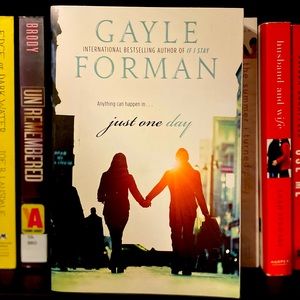 Just one day paperback